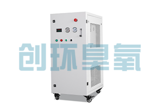 南阳石斑鱼养殖水质调控完整指南：臭氧发生器配置与操作步骤
