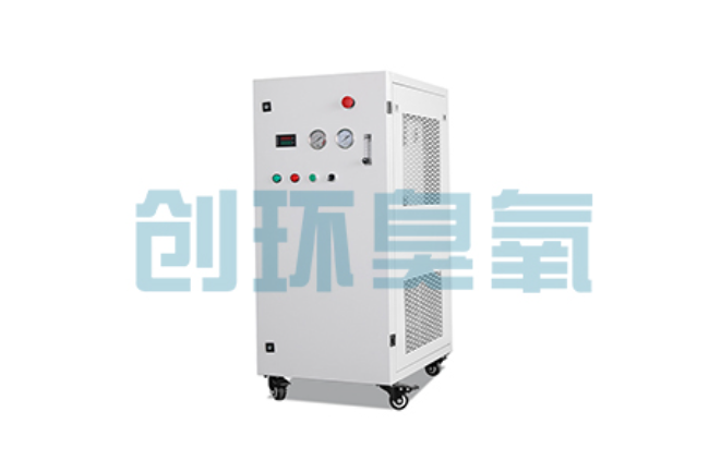 南阳比传统换水更高效？臭氧发生器在石斑鱼养殖中的水质净化原理解析